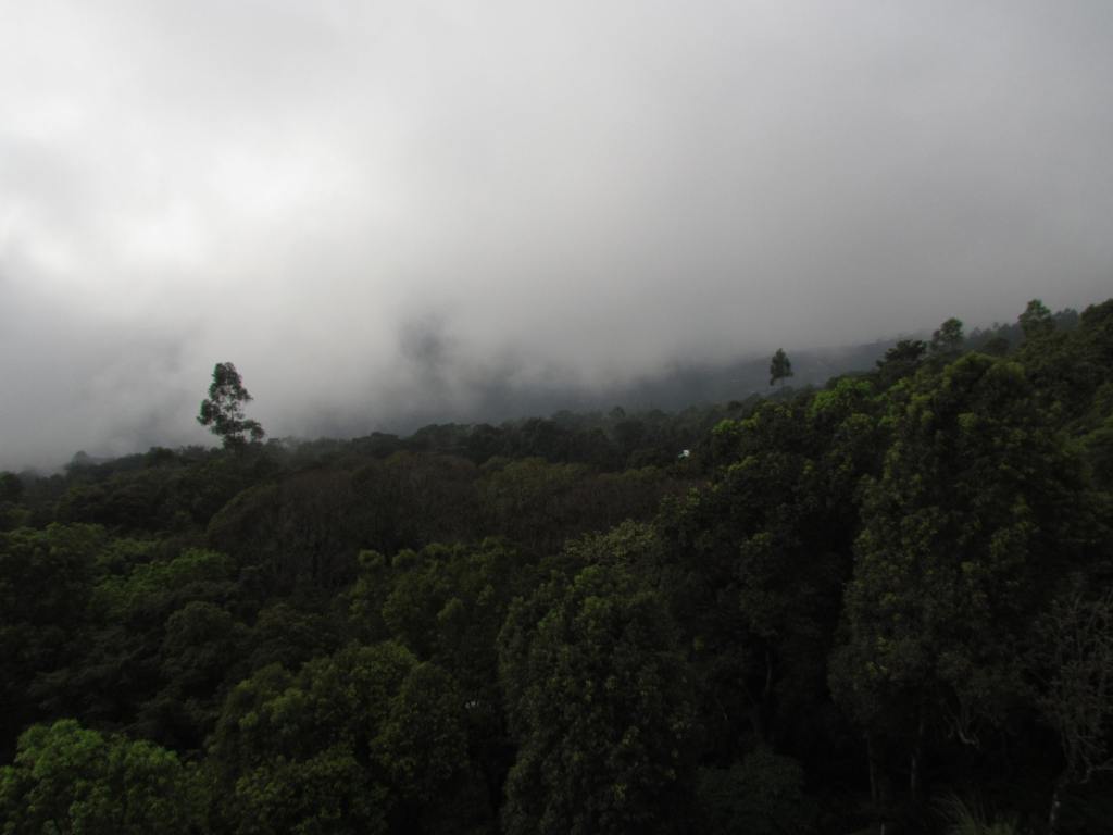 One of the best views from the hotel window that I had in my life. I have stayed in many hotels but this room offered a view to cherish.
