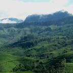 Munnar and Thekkadi