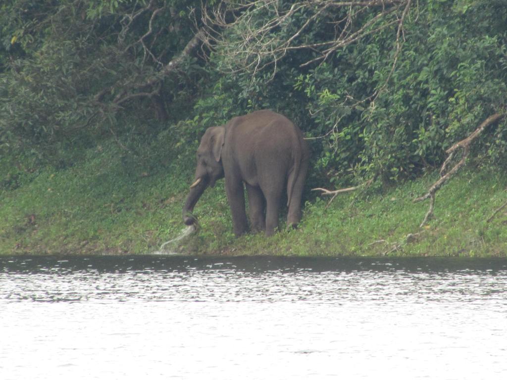 This elephant was enjoying the water when the noise of tourists at a far away distance disturbed him. He refused to look at the camera.