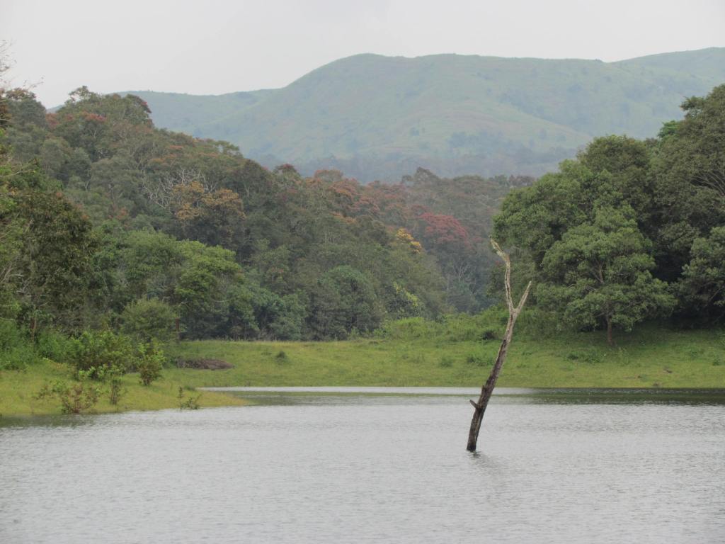 Panoramic Periyar